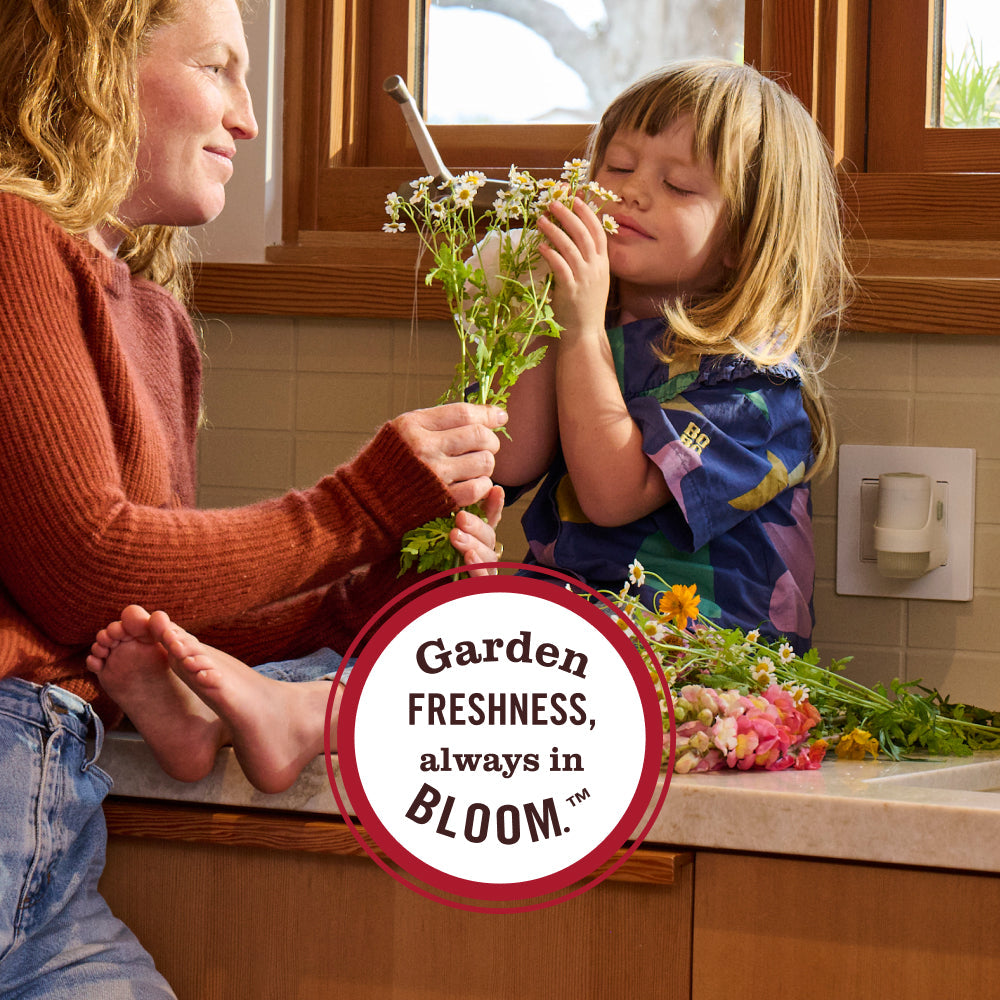 Elderberry Plug In Scented Oil Warmer With Refill