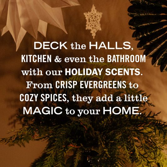 Holiday Seasonal Hand Soap Collection