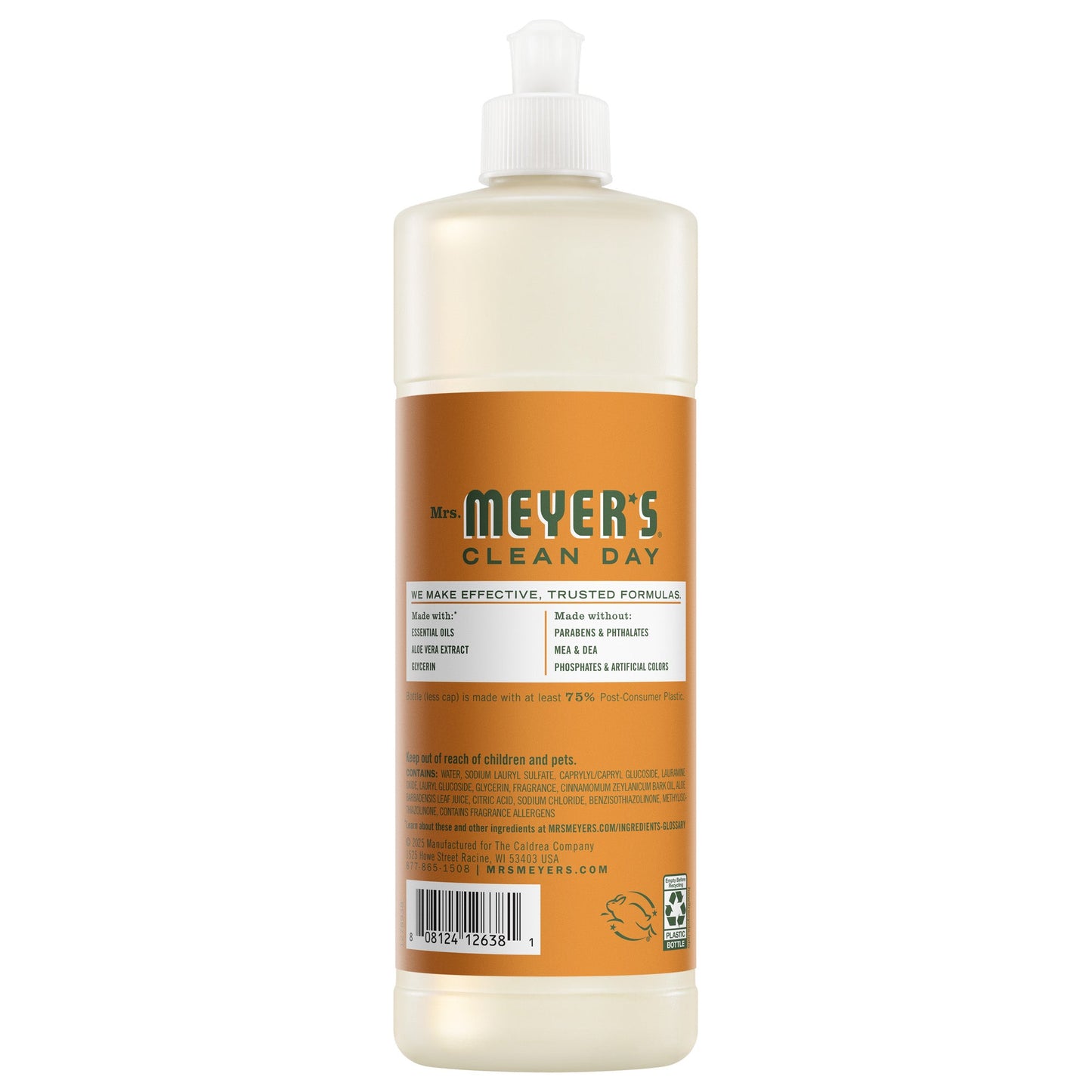 Sugar Pumpkin Dish Soap