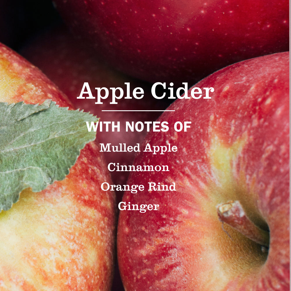 Apple Cider Plug In Scented Oil Refill, 2-Pack