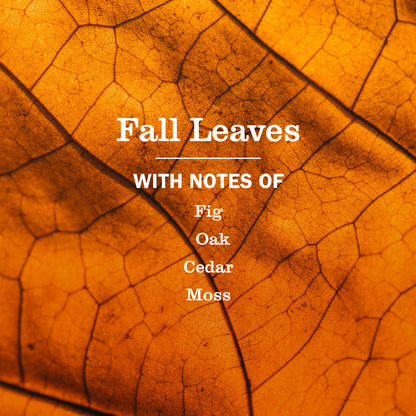 Fall Leaves Dish Soap