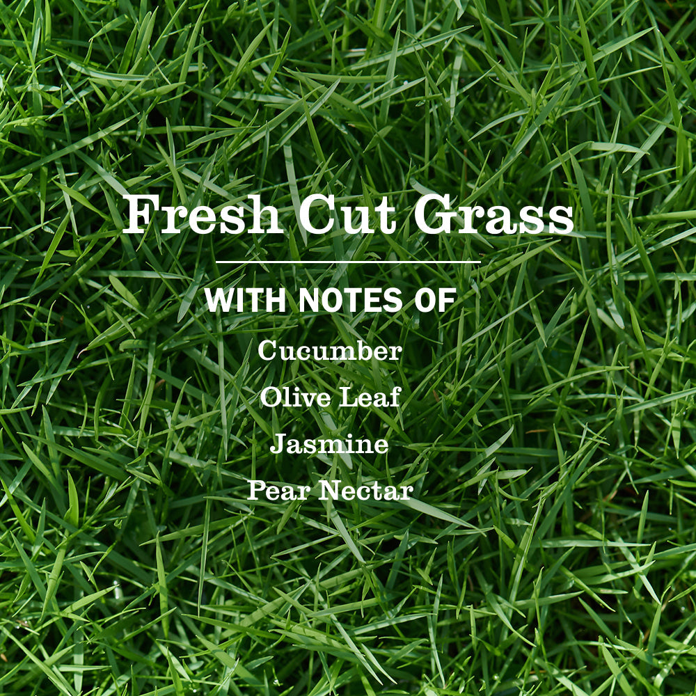 Fresh Cut Grass Plug In Scented Oil Refill, 2-Pack