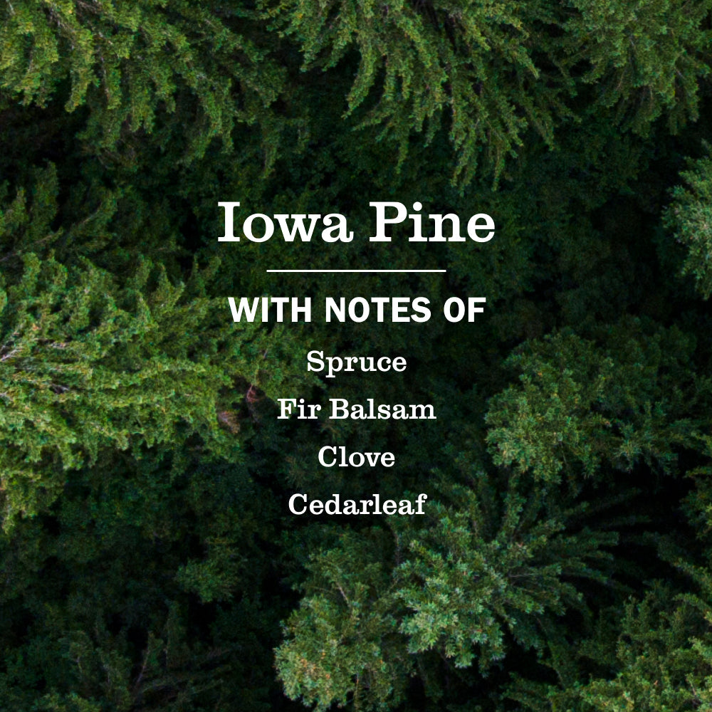 Iowa Pine Plug In Scented Oil Refill, 2-Pack