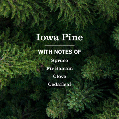 Iowa Pine Plug In Scented Oil Refill, 2-Pack