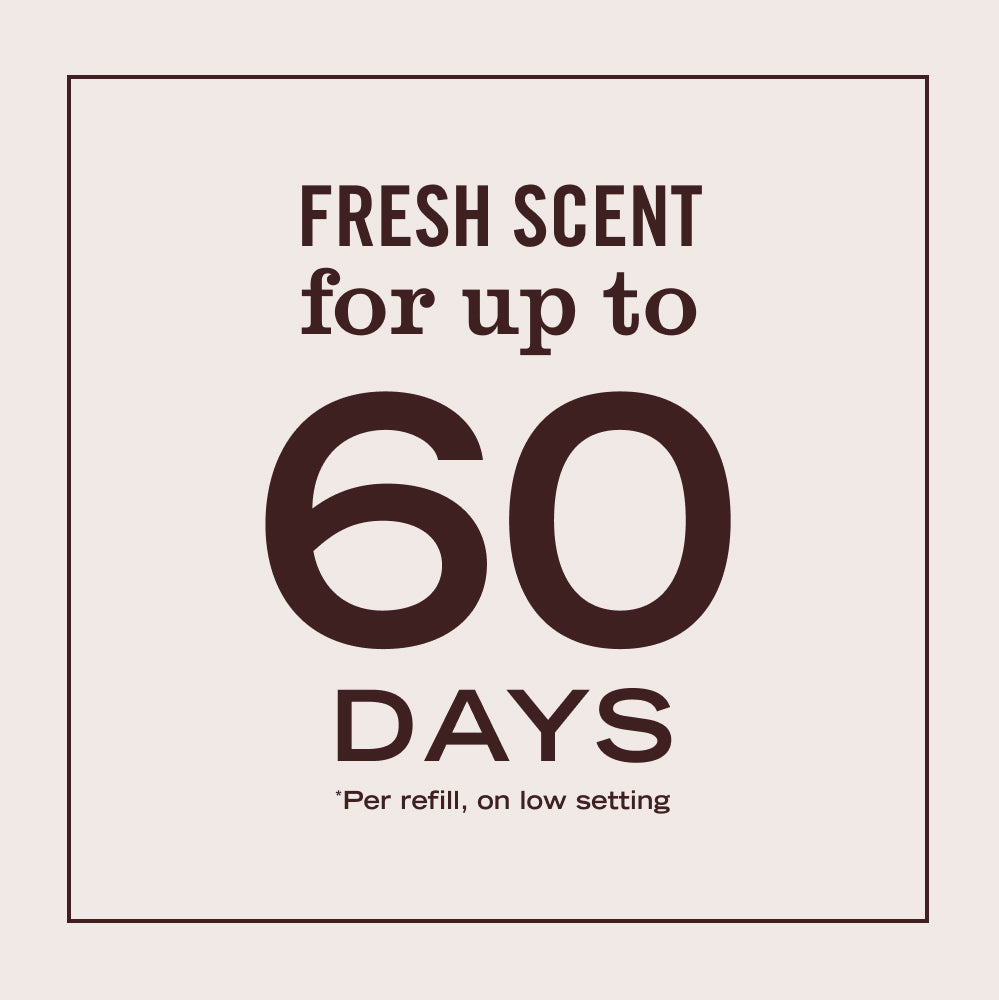 Acorn Spice Plug In Scented Oil Refill, 2-Pack