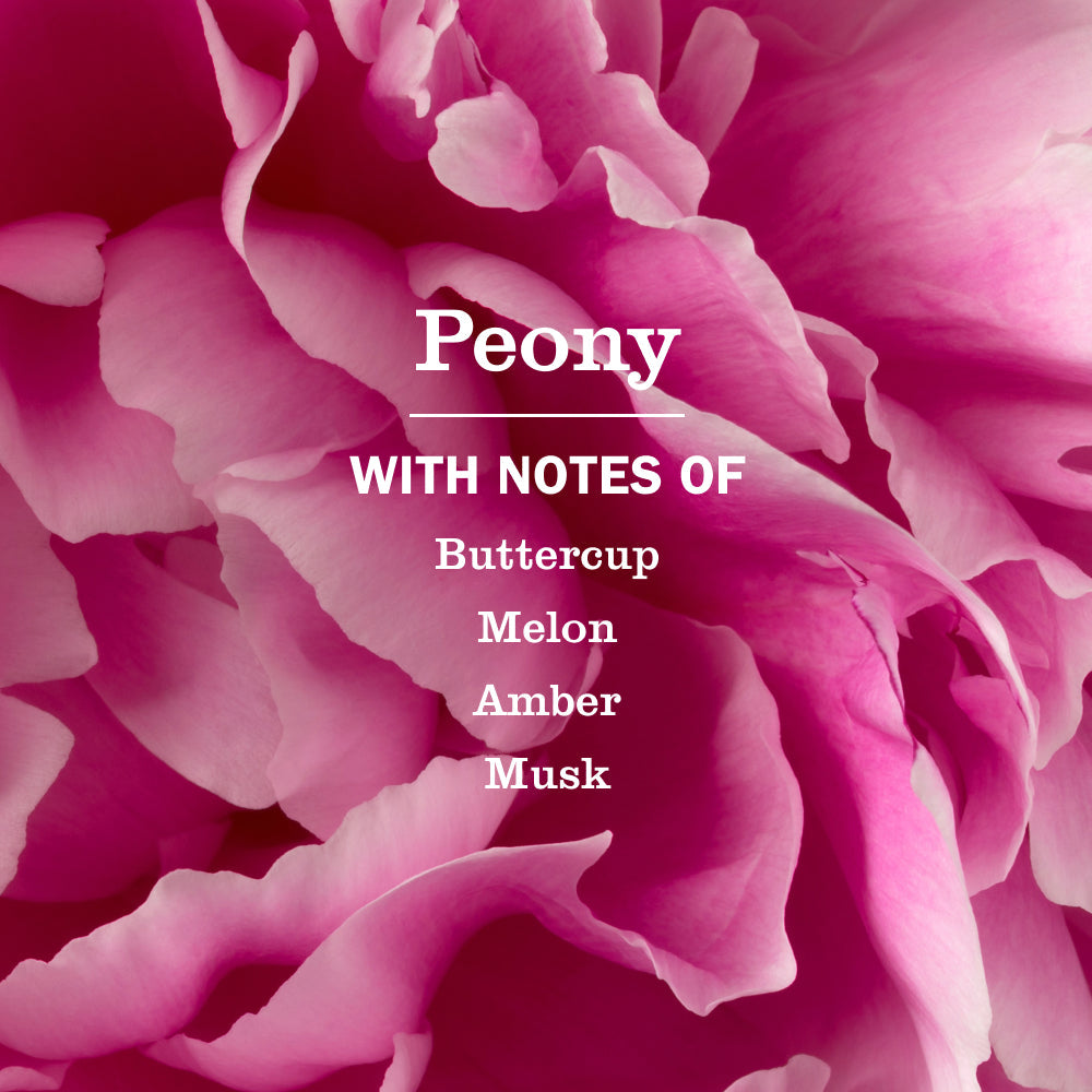 Peony Plug In Scented Oil Refill, 2-Pack