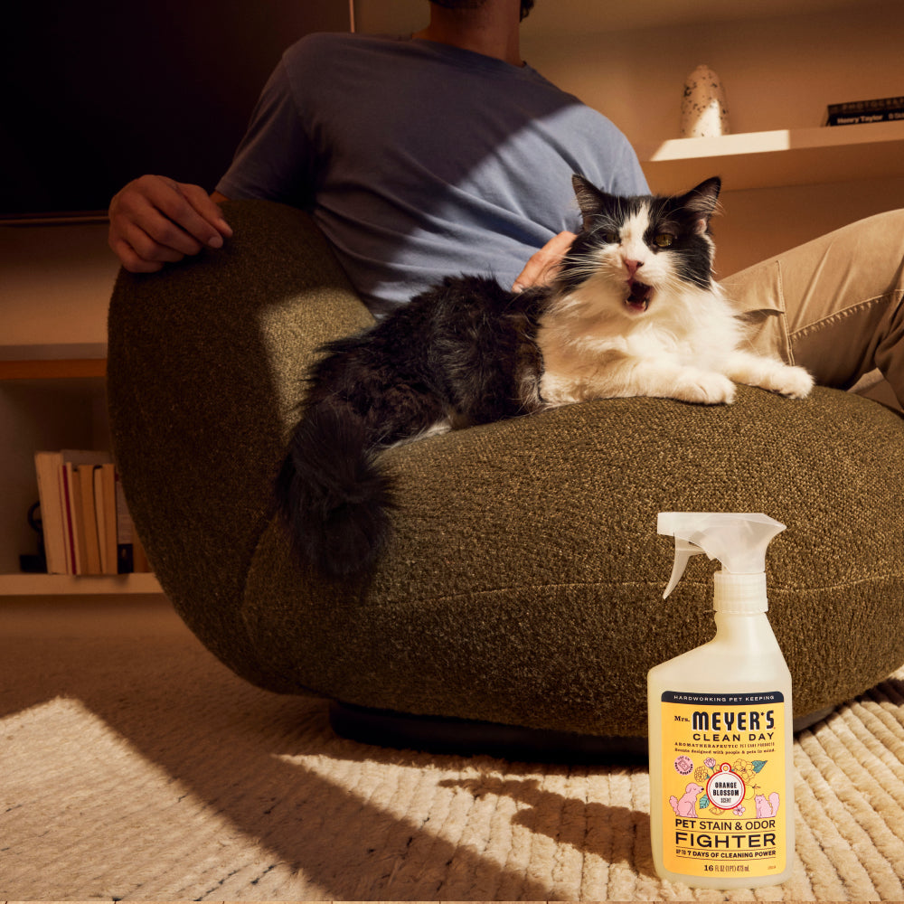 Orange Blossom Pet Stain & Odor Fighter
