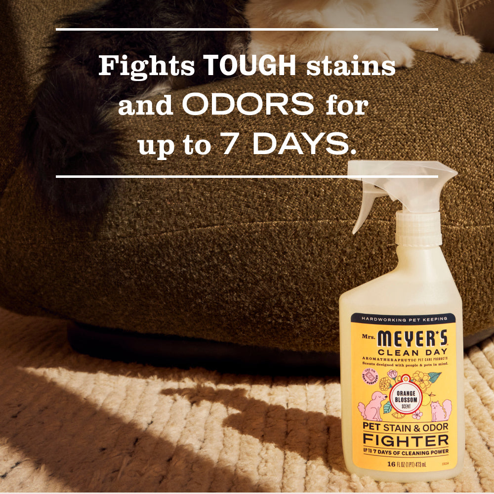 Orange Blossom Pet Stain & Odor Fighter