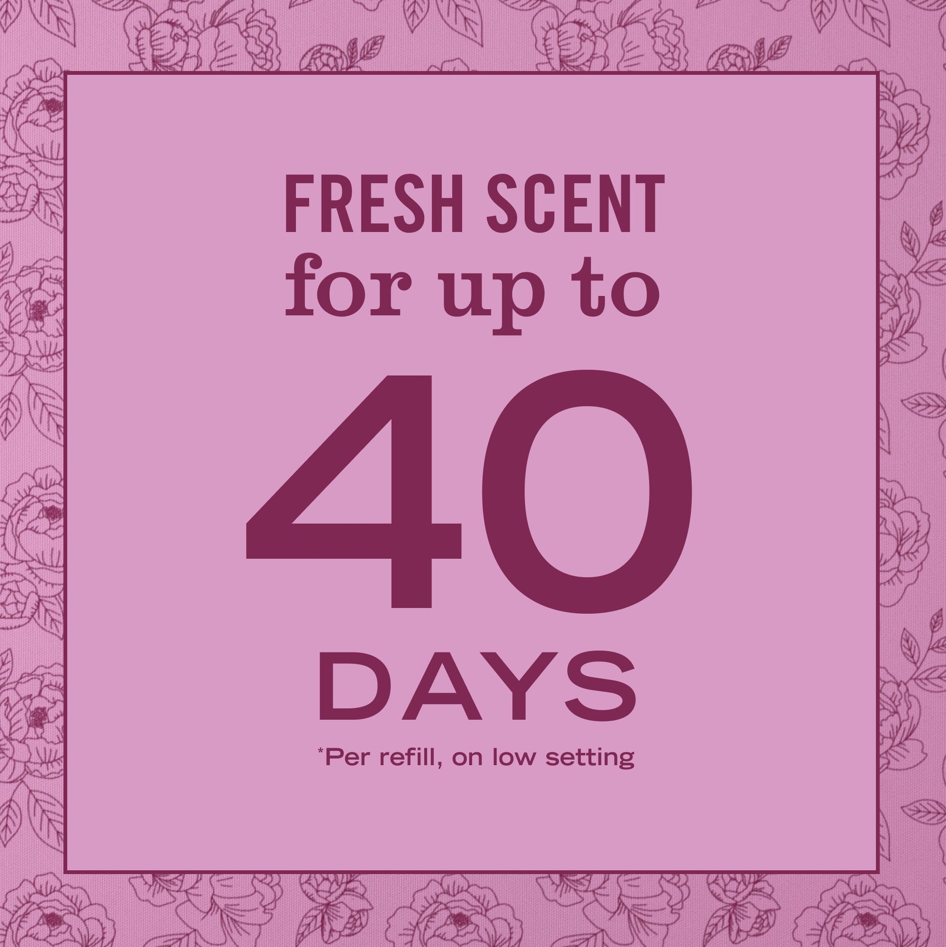 Peony Plug In Scented Oil Refill, 2-Pack