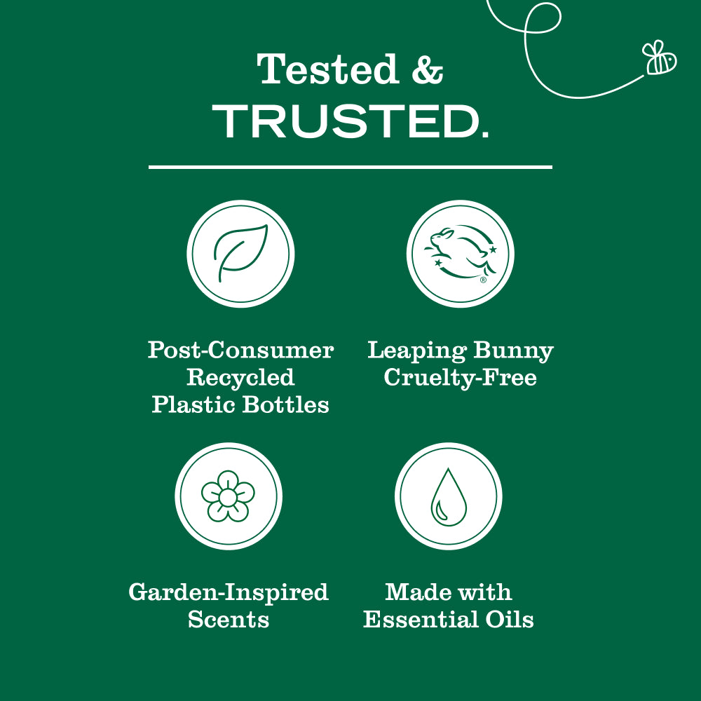 Acorn Spice Dish Soap