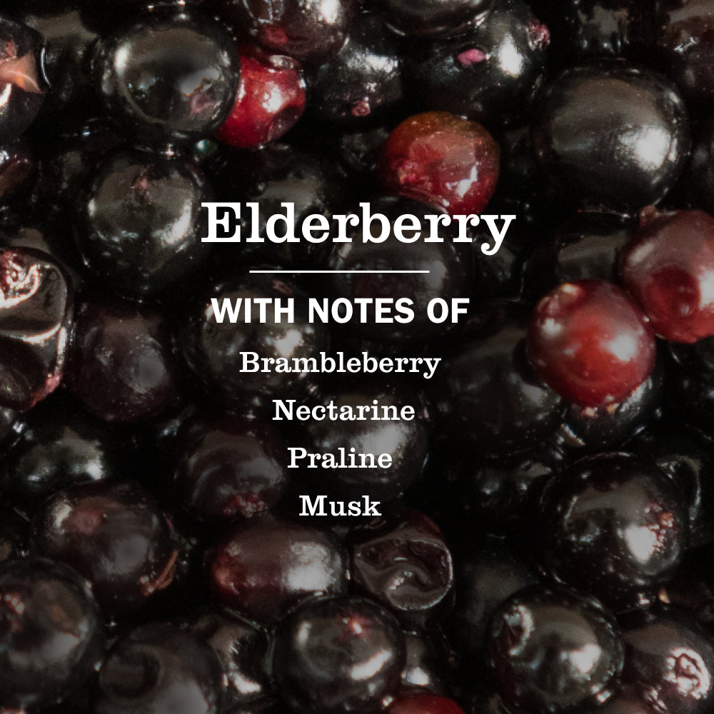Elderberry Multi-Surface Everyday Cleaner