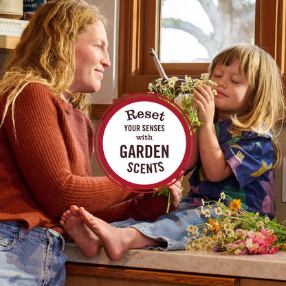 Rain Water Room Freshener