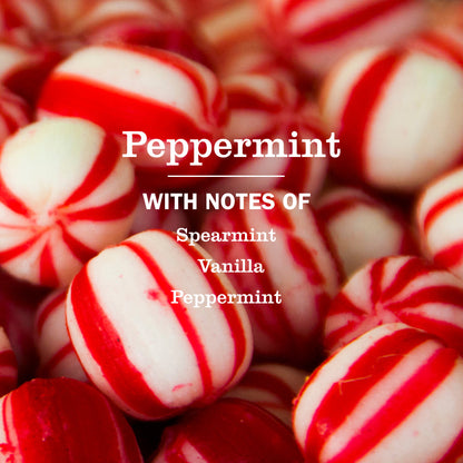 Peppermint Multi-Surface Everyday Cleaner