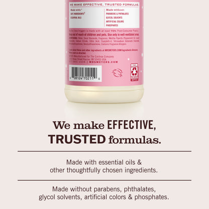 Peppermint Multi-Surface Everyday Cleaner