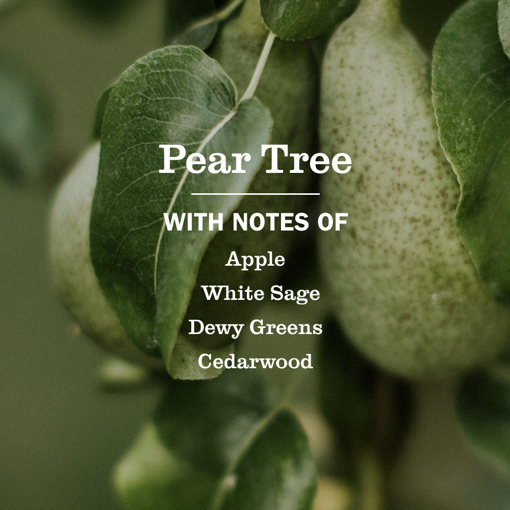 Pear Tree Dish Soap