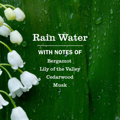 Rain Water Multi-Surface Everyday Cleaner