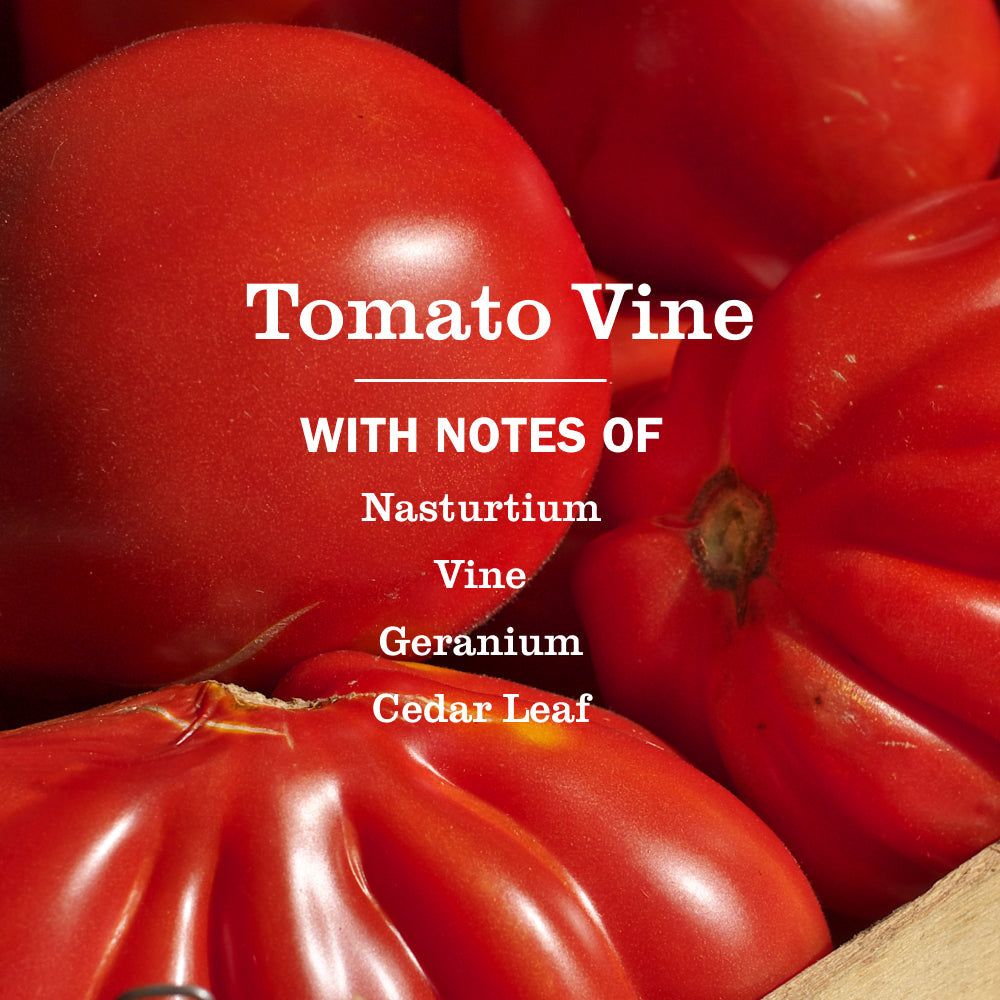 Tomato Vine Multi-Surface Everyday Cleaner