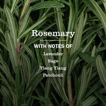 Rosemary Multi-Surface Everyday Cleaner